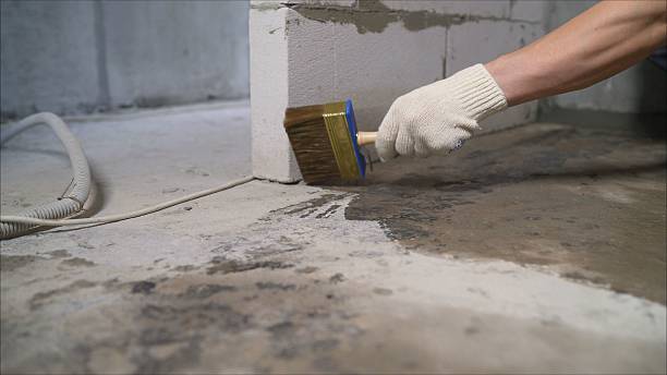 24/7 Emergency Waterproofing experts in Ferndale, WA